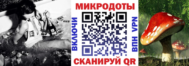 Псилоцибиновые грибы Magic Shrooms  даркнет какой сайт  Свободный  hydra ССЫЛКА 