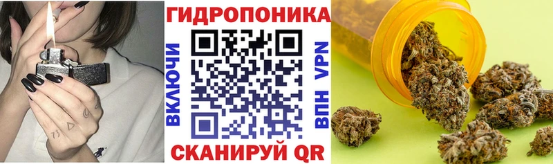 Шишки марихуана THC 21%  купить  цена  Свободный 